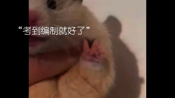 หนูน้อยฉันเหนื่อยเหลือเกินนะ