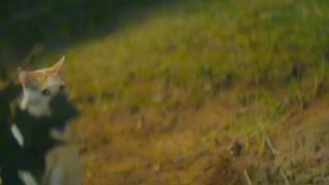 One of my fav drama💝