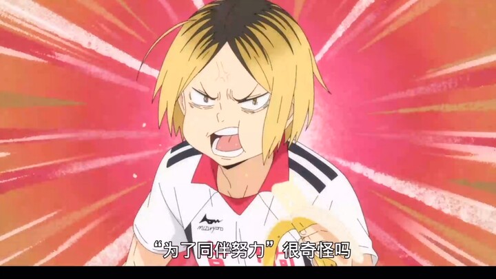 "Volleyball Boys" "คุณภาพของ Yinju อยู่ที่การไม่ปล่อยให้ Setter วิ่งมากเกินไป" "แปลกไหมที่จะ "ทำงานห