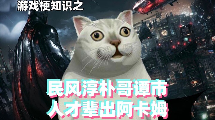 Game meme knowledge: Gotham City has simple folk customs, while Arkham is full of talented people!