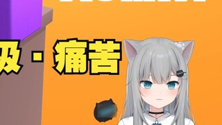 Gancheng Cat..Don't cut it, the ears are going to be ruined!