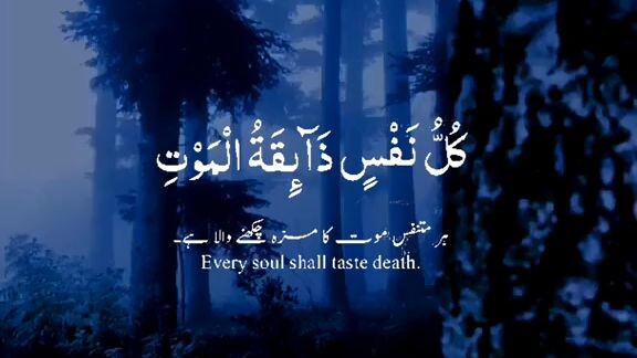Beautiful Voice Quran Recitation by Abdul Mossad