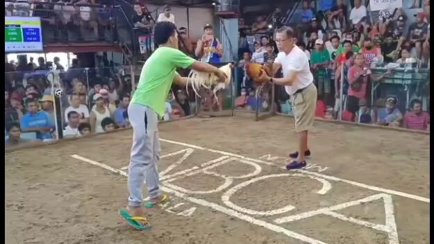 1 fight Ng white win 🏆