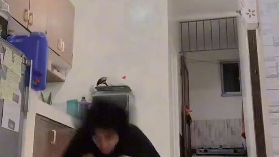krazyy dance stepz
