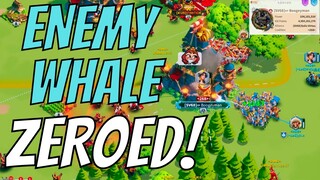 104M Power SV68 Whale ZEROED in KING's LAND! Rise of Kingdoms KvK