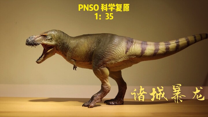 PNSO诸城暴龙