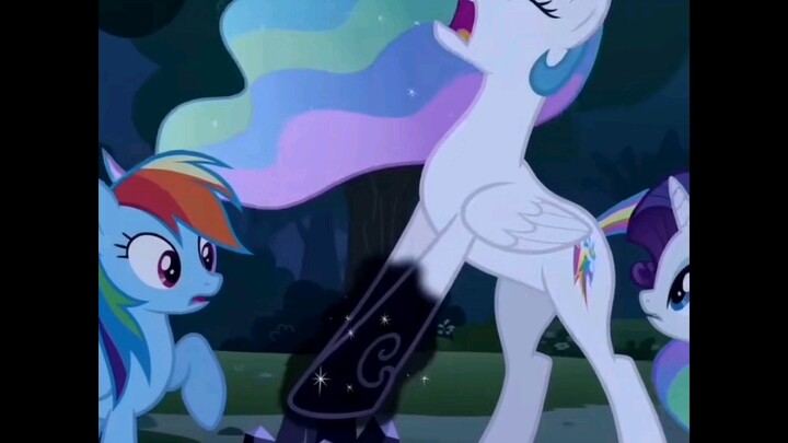 Mustang Violence Compilation