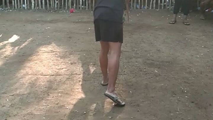 sabong sa pista