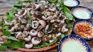 Ốc mỡ xào tỏi, tóp mỡ, lá quế. Cách làm nước chấm xanh của Bin Béo - Bin Đen Miền Tây # 183