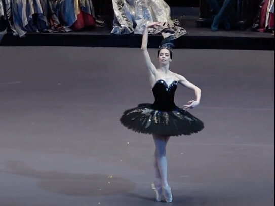 【Ketika Mo Da belum selesai】Rindu akan cambuk angsa hitam kakak, Ekaterina Krysanova