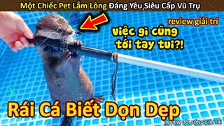 Hảo Hán Review chiếc pet lắm lông đáng yêu siêu cấp vũ trụ || Review Giải Trí Đời Sống