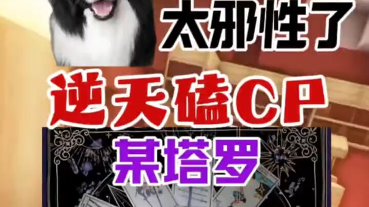 Apakah Kak Border Collie dan seorang peramal tarot telah dijadikan pasangan? Kak Border Collie untuk