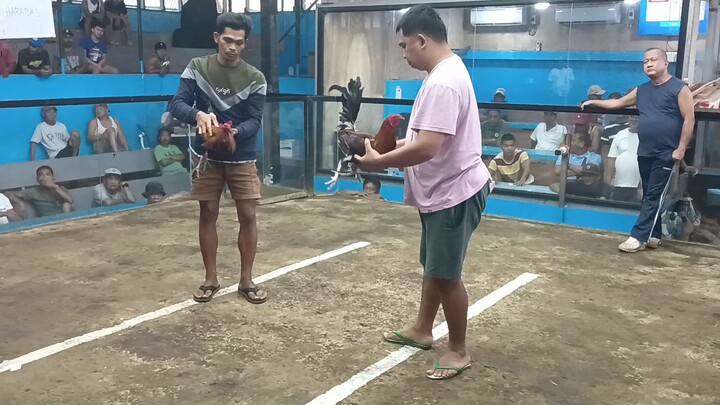 2hits Champ Silang Sports Arena #LoveFarm first fyt