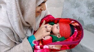 Honey Be harwesting | Mian Asad Vlogs