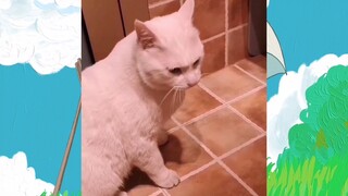 สัตว์ตลก_cut 207