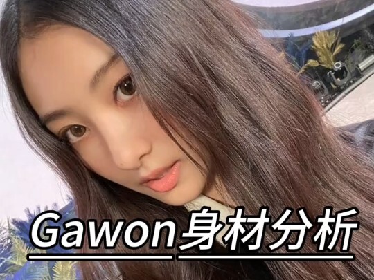 Gawon身材比例分析