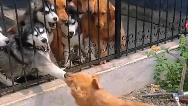 Thực tế cho thấy, cãi nhau thì cứ cãi, đừng chỉ tay vào người ta.