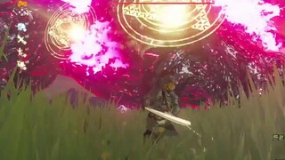 Zelda】 Final BOSS Calamity Ganon Raiders