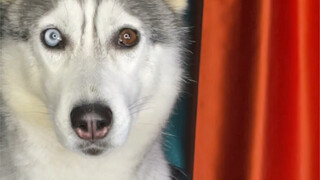 Stop sending me skirts—I can't handle it anymore!