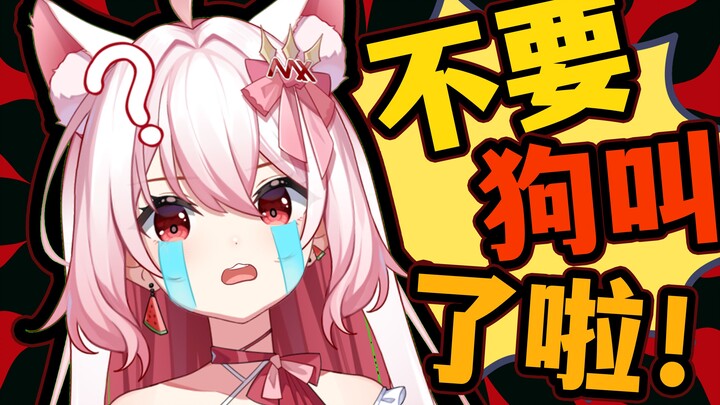 【切熙瓜】关于我的粉丝都是狗狗这件事