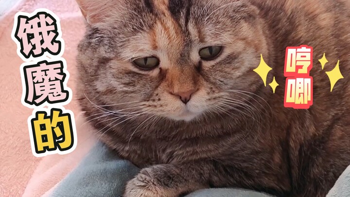 Mỗi ngày thức dậy trong tiếng thì thầm của chiếc bánh mì đói.