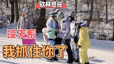 【欣林感应】“没关系,我抓住你了。”|第六期磕糖指南