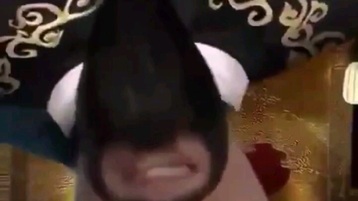 Lihatlah dengan membaliknya, kucing