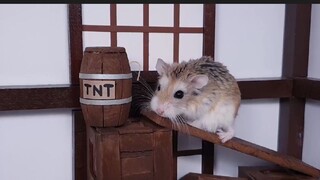 ภารกิจของหนูแฮมสเตอร์ EP 332