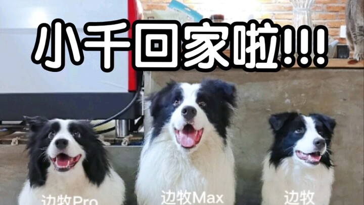 Xiao Qian’s finally back~ Luna and Xiao Qian are in the same frame for the first time!!! But Xiao Qi
