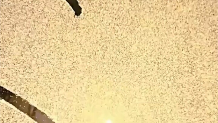 Koenigsegg CC850🔥