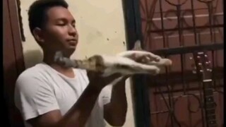 圣火喵喵教教主传承仪式