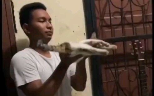 圣火喵喵教教主传承仪式