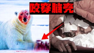[الدب القطبي يأكل الناس] سمعت صوت عظام تتكسر عندما عضني، وتم التعامل معي وكأنني لحم ذو طعم مختلف.