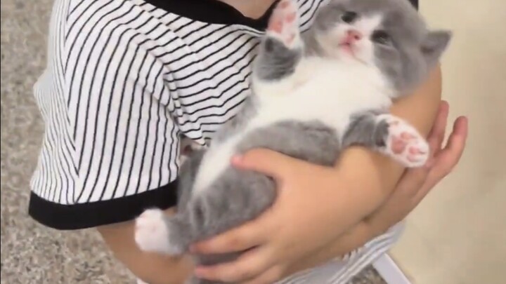 ทารกอุ้มทารกตัวเล็ก