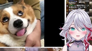 Đồng hồ nữ thiên nhiên Nhật Bản "Xem xong bạn sẽ thấy dễ chịu hơn": Dễ thương quá