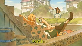 Early on, Roger recruited Rayleigh as his crew🤠