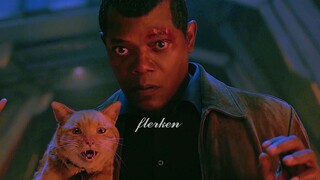 噬元兽：我真的只是一只猫