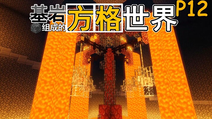 逃离这里！基岩组成的方格世界 P12【我的世界】
