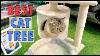 Cat Tree - Nhà Cây Cho Mèo Kèm Trụ Cào Móng