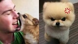 Funny Dogs And Cats of TikTok 😮 Angry Pets Videos 😱