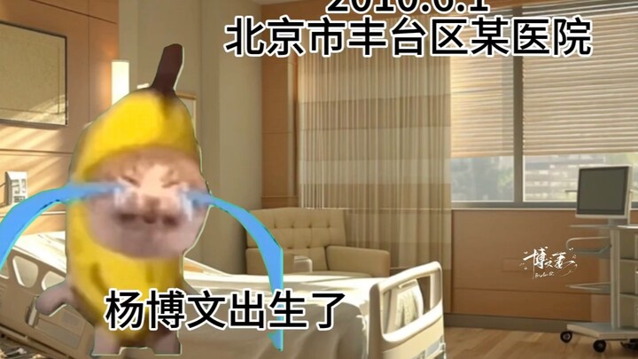 Mở màn Dương Bác Văn bằng meme mèo…