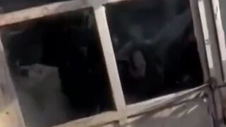 Then how come you transferred me 100? [thinking]