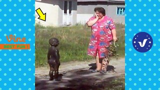 Funny & Hilarious Video People's Happy Life #21 😂 Try Not To Laugh Funny Videos 2024