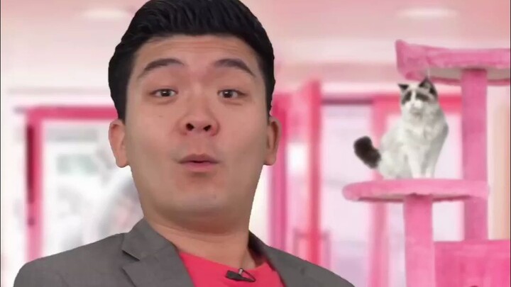 Quán cà phê mèo của công ty quản lý chất thải 5【Steven He】