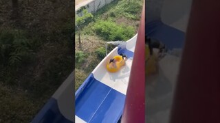แบบนี้ลุงชอบ _ sujung98 #tiktok