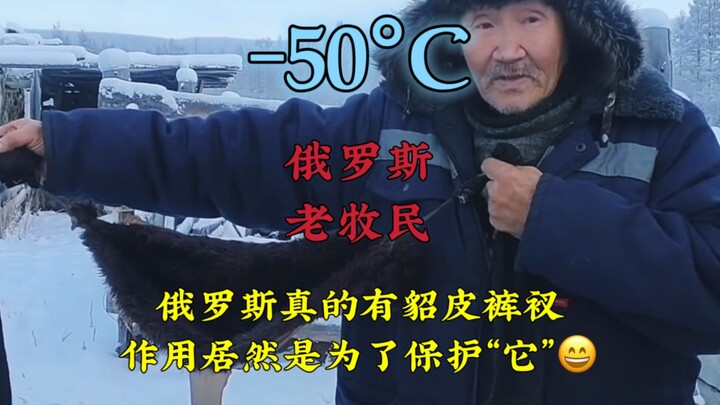 Người chăn cừu già ở Nga sống trong cái lạnh -50 độ thực sự dùng quần lót lông chồn, mà công dụng củ