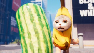 Mèo chuối bị vu oan