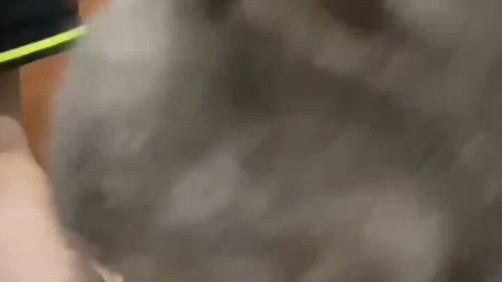 Đại hội mèo dễ thương, đáng yêu bùng nổ!