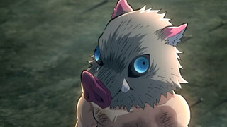 Ngày trước, chú heo này gặp ma là nhất định phải tiêu diệt, nhưng khi đối mặt với Tanjiro, người mà 