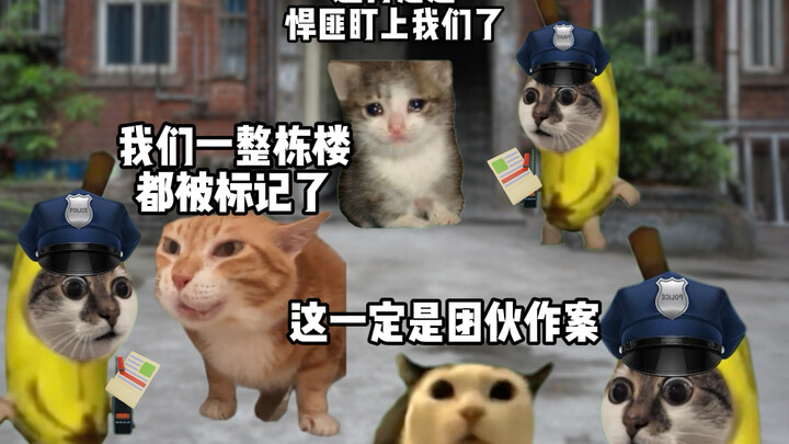 Kinh nghiệm bị đánh khi còn nhỏ